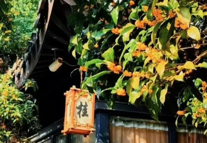 以匠心致初心 礼赞祖国华诞